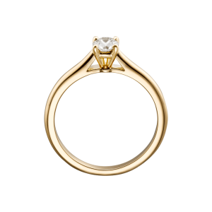 ship your idea ring