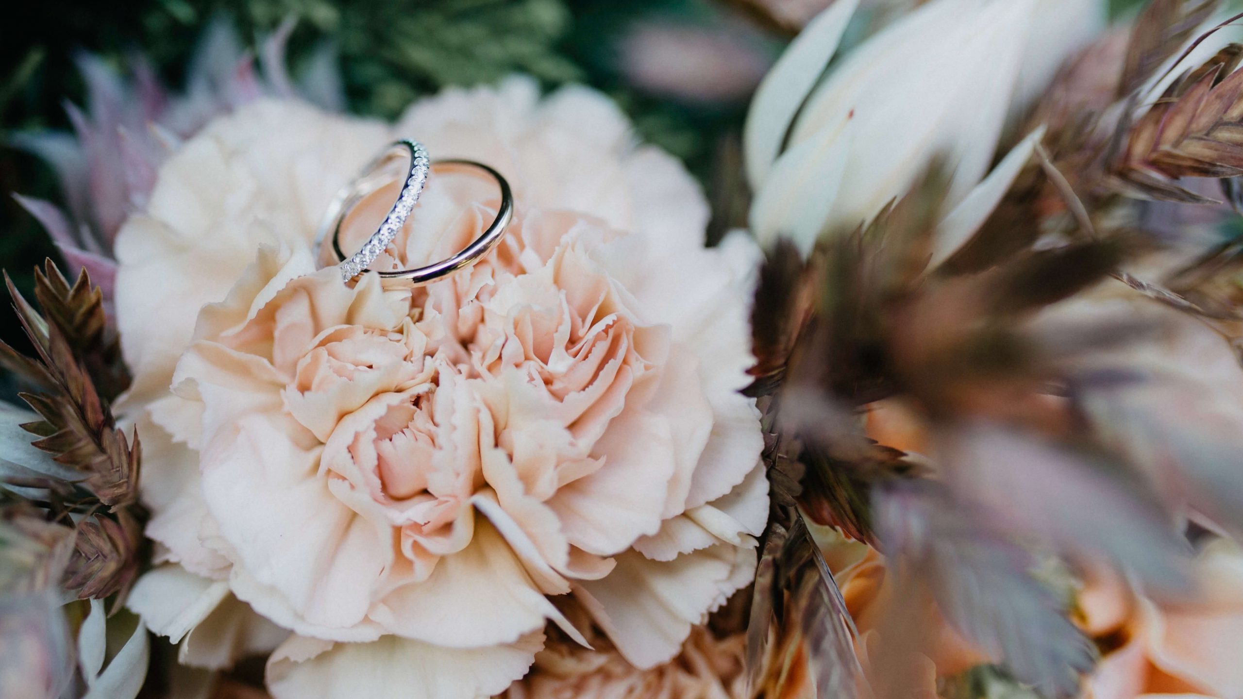 rings